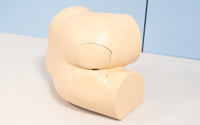 Trenażer do nauki badania per rectum
